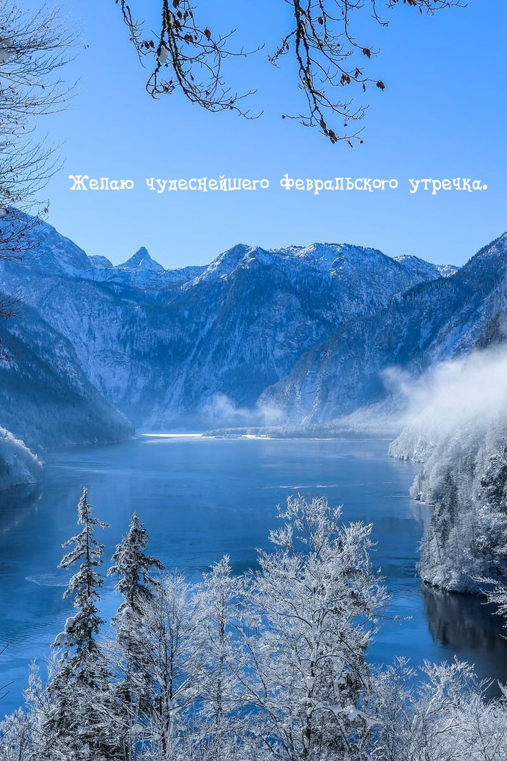 Желаю чудеснейшего февральского утречка.