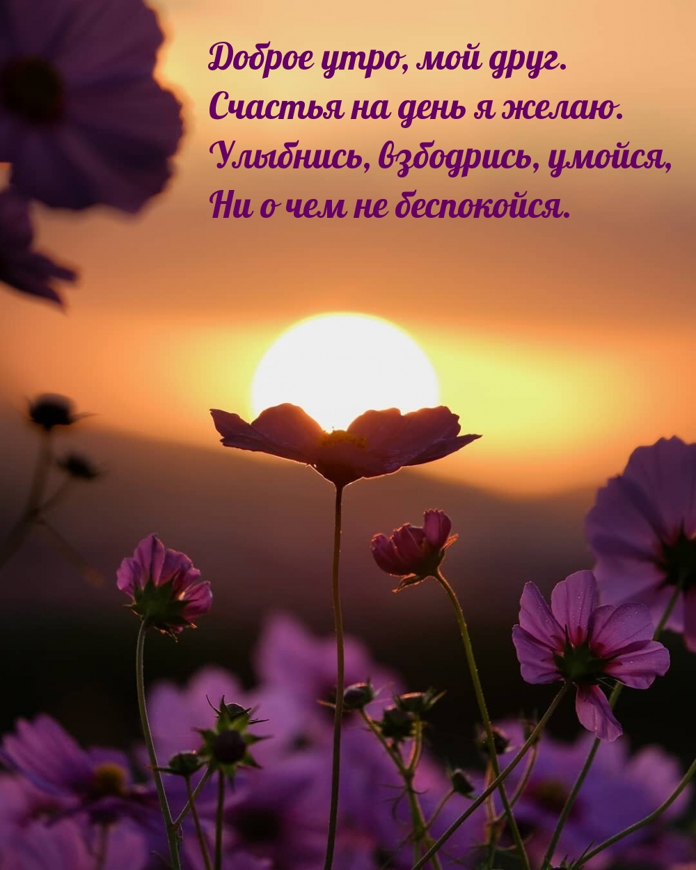 Доброе утро, мой друг. Счастья на день я желаю.