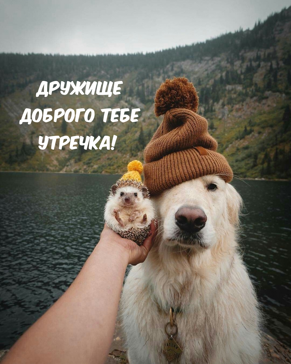 Дружище доброго тебе утречка!