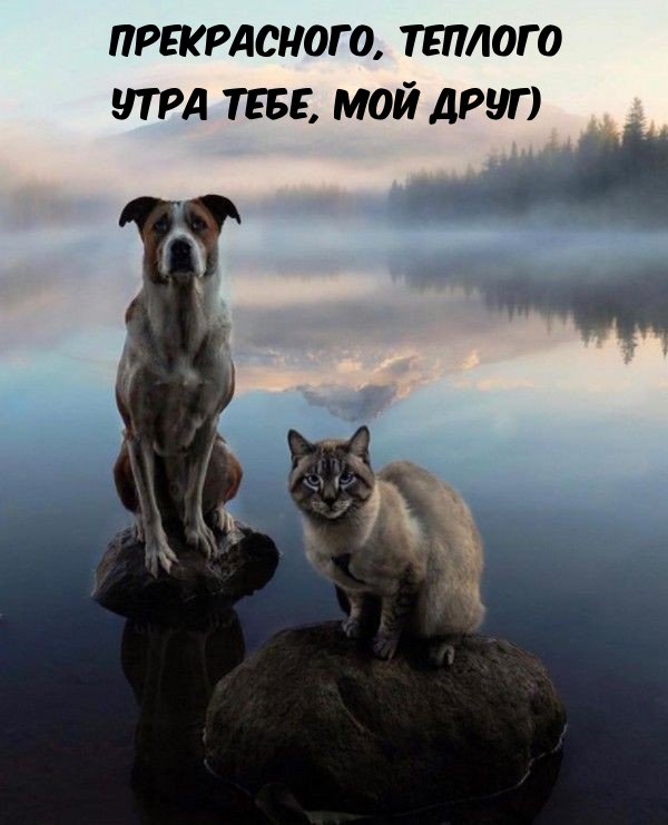 Прекрасного, теплого утра тебе, мой друг)