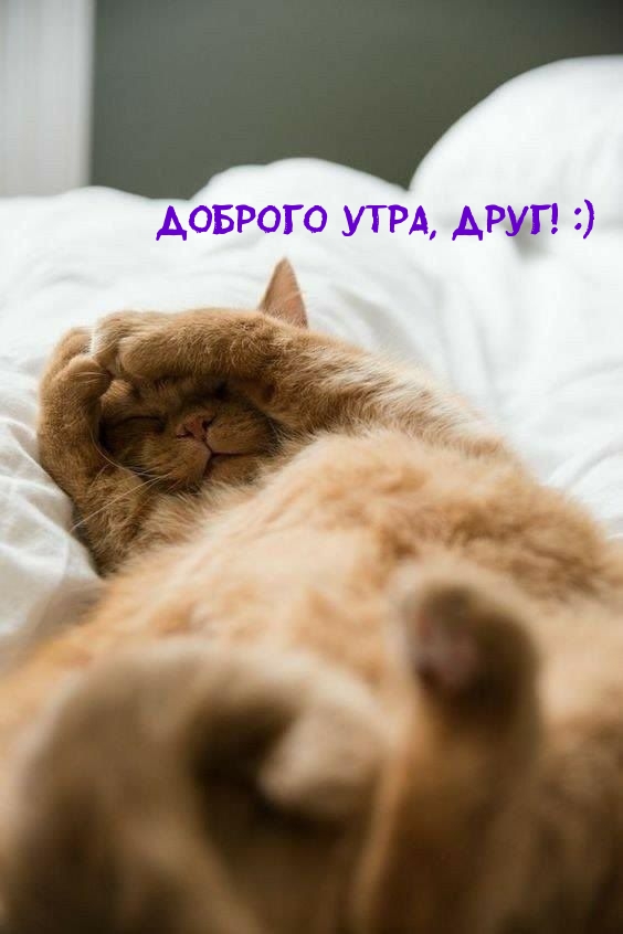 Доброго утра, друг! :)
