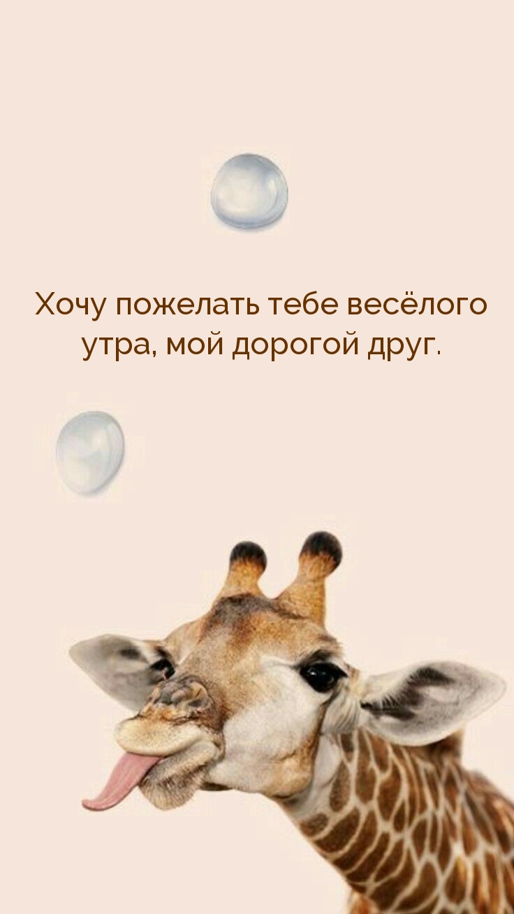Картинка - Хочу пожелать тебе весёлого утра, мой дорогой друг..