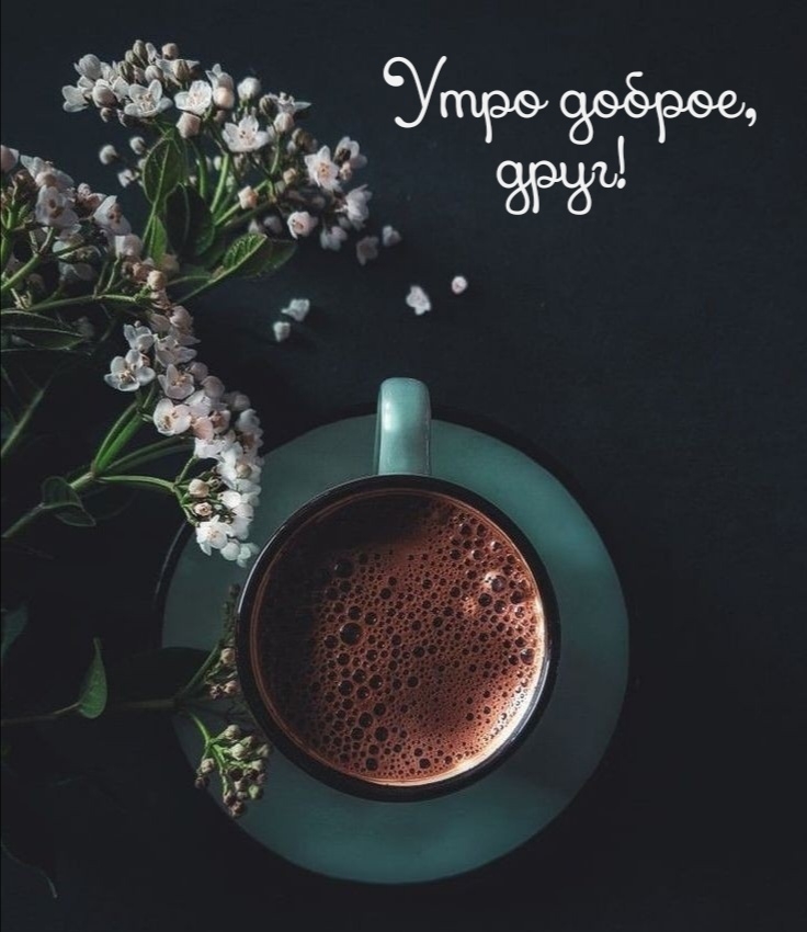 Утро доброе, друг!