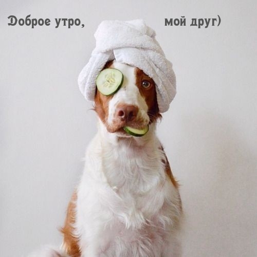 Доброе утро, мой друг)