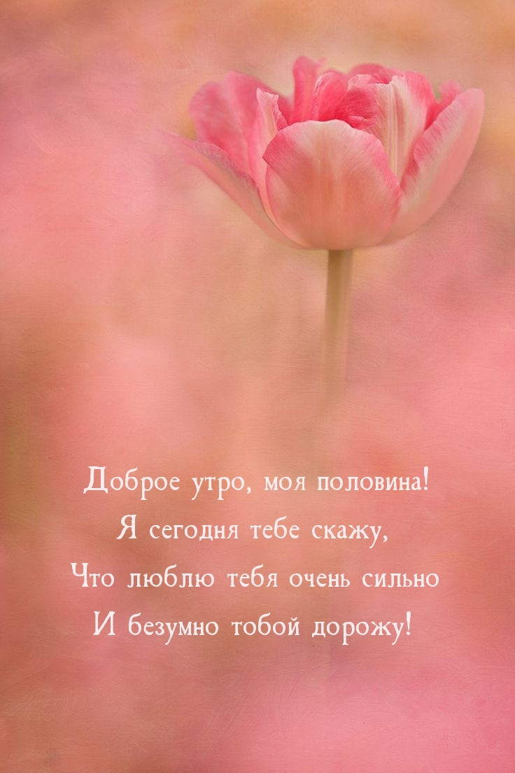 Доброе утро, моя половина!