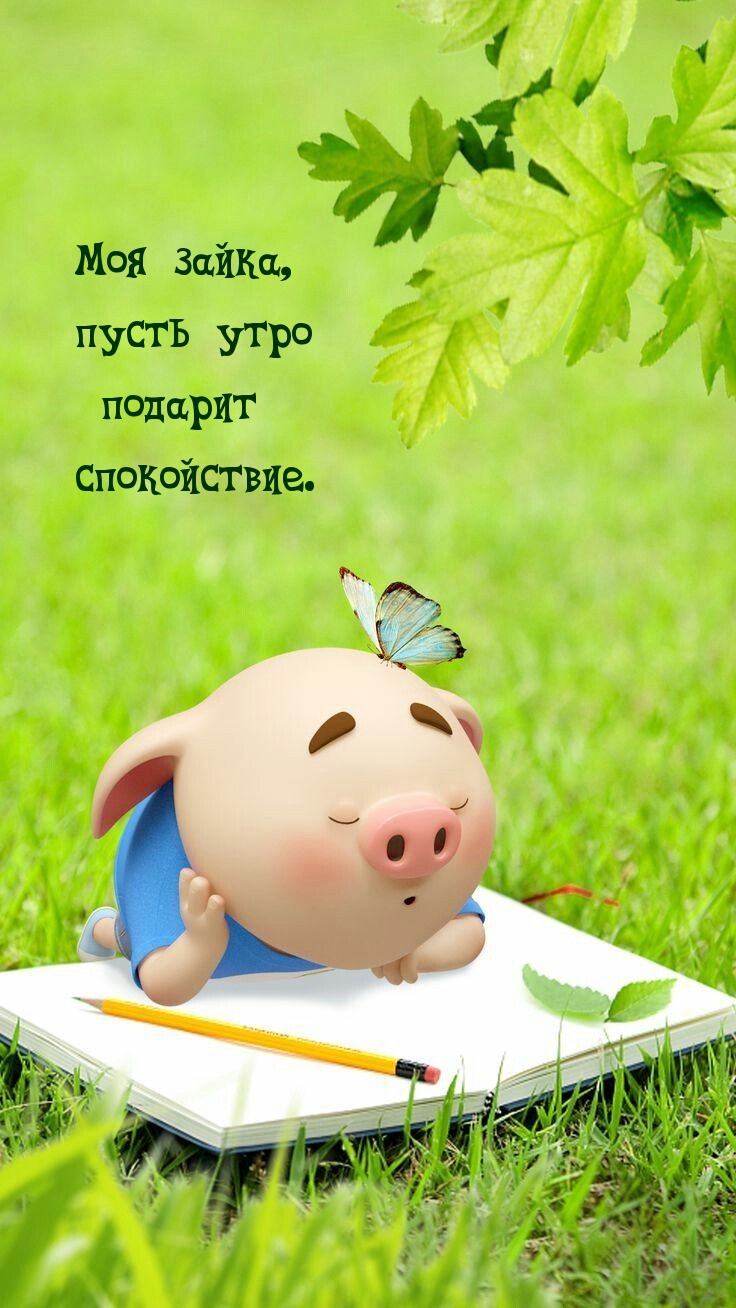 Моя зайка, пусть утро подарит спокойствие.