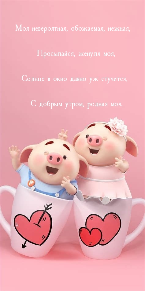 Моя невероятная, обожаемая, нежная