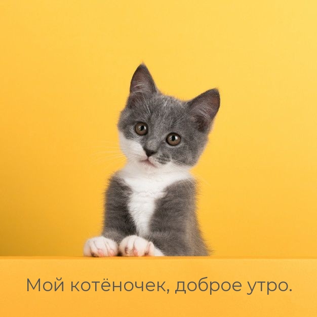 Мой котёночек, доброе утро.