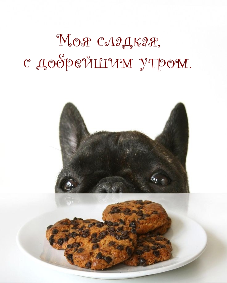 Моя сладкая, с добрейшим утром.