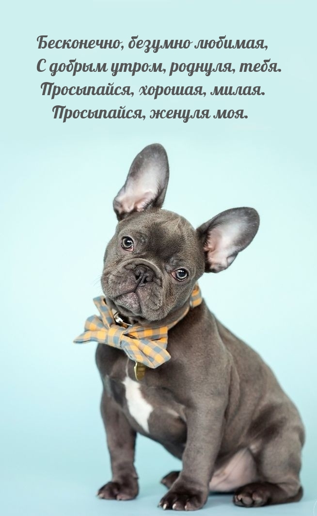 Бесконечно, безумно любимая, с добрым утром, роднуля, тебя.
