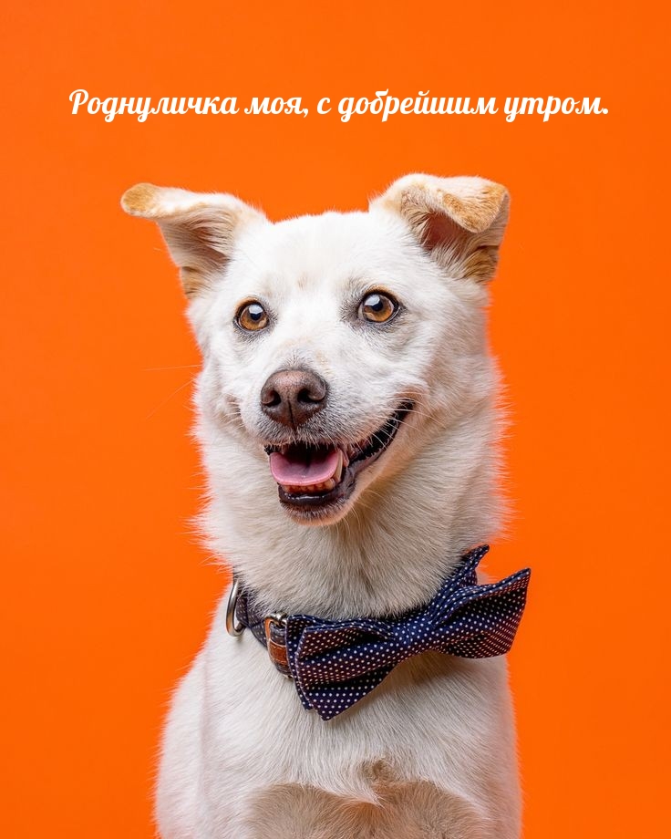 Роднуличка моя, с добрейшим утром.