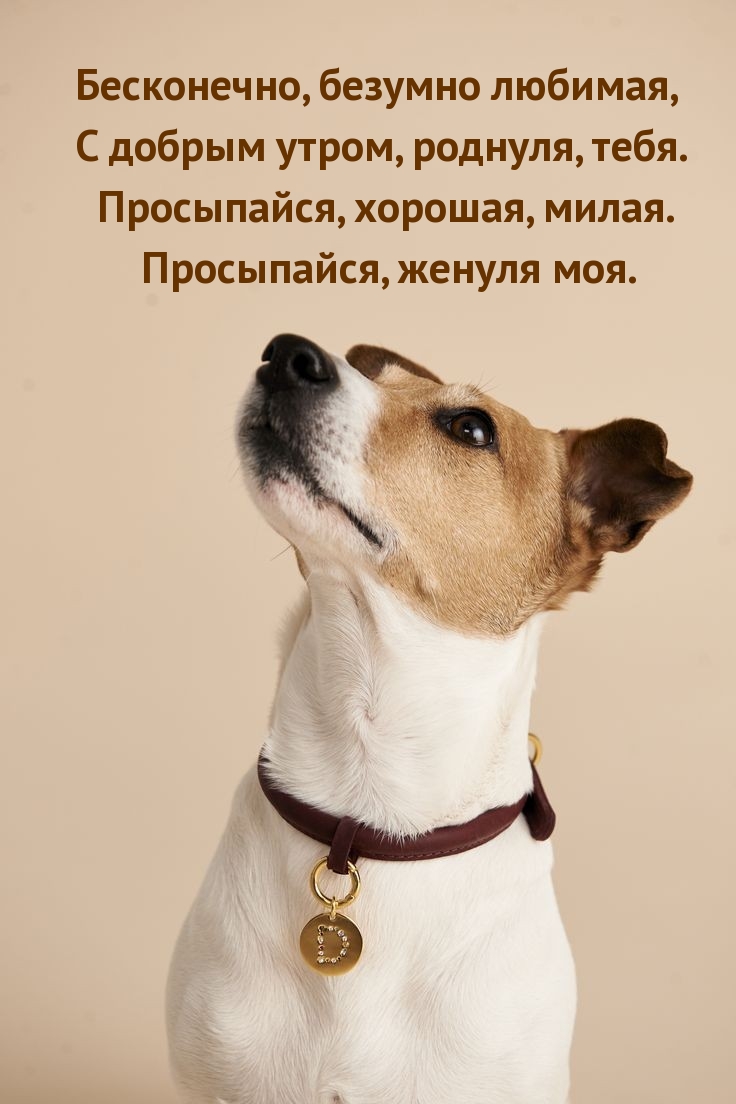 Просыпайся, хорошая, милая. Просыпайся, женуля моя.