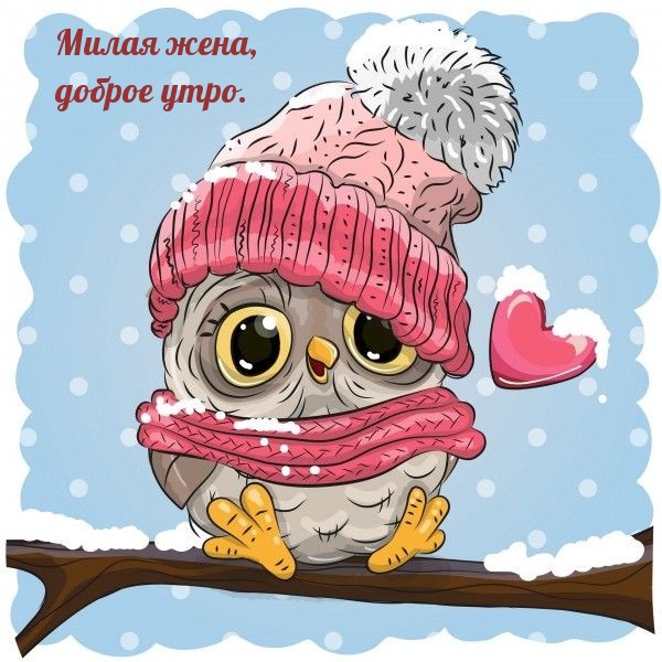 Милая жена, доброе утро.
