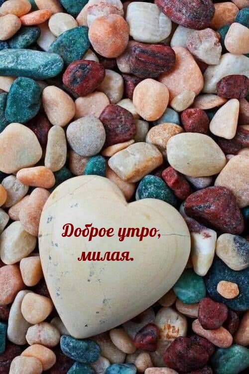 Доброе утро, милая.