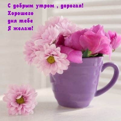 С добрым утром, дорогая! Хорошего дня тебе Я желаю!