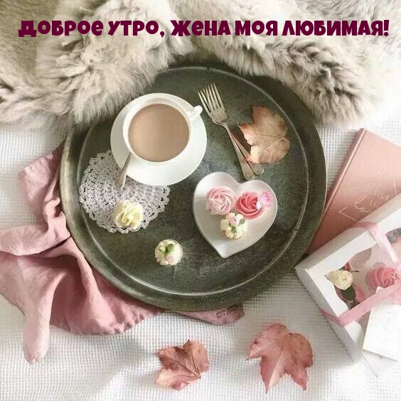 Доброе утро, жена моя любимая!