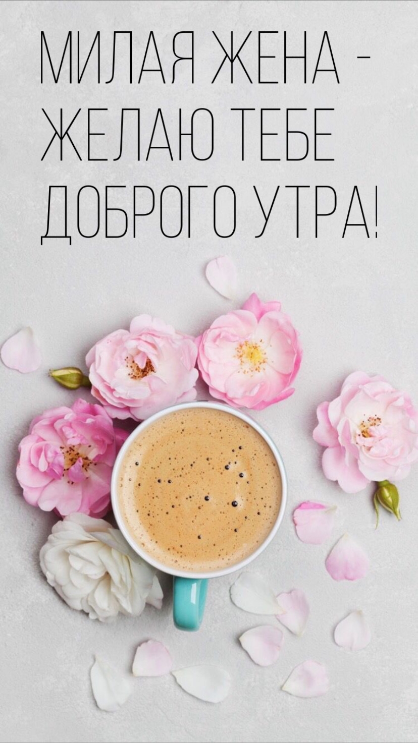 МИЛАЯ ЖЕНА — ЖЕЛАЮ ТЕБЕ ДОБРОГО УТРА!