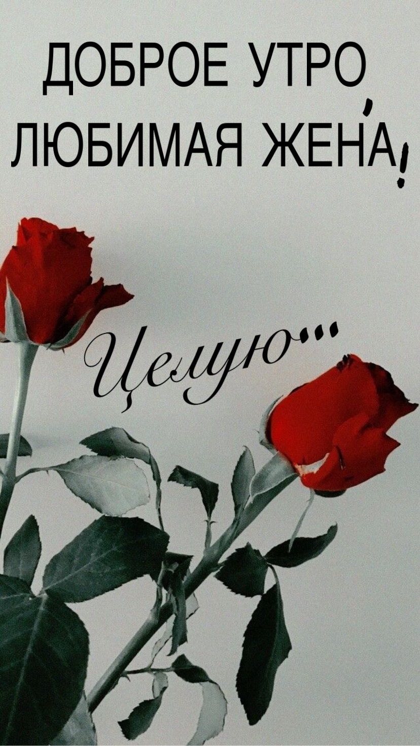 ДОБРОЕ УТРО, ЛЮБИМАЯ ЖЕНА! Целую…