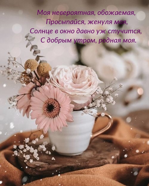 Просыпайся, женуля моя