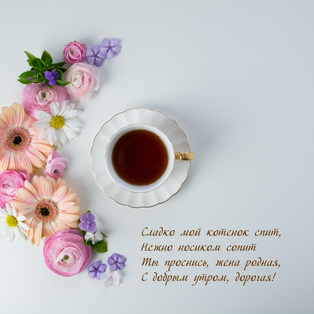 Ты проснись, жена родная