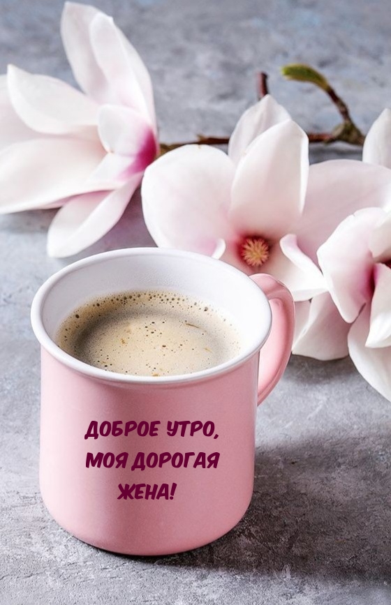 Доброе утро, моя дорогая жена!