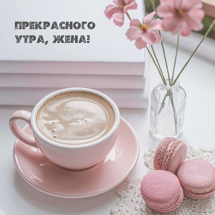 Прекрасного утра, жена!