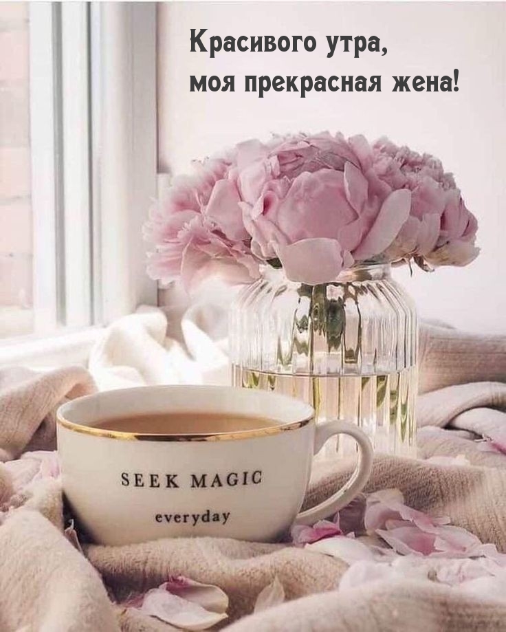 Красивого утра, моя прекрасная жена!