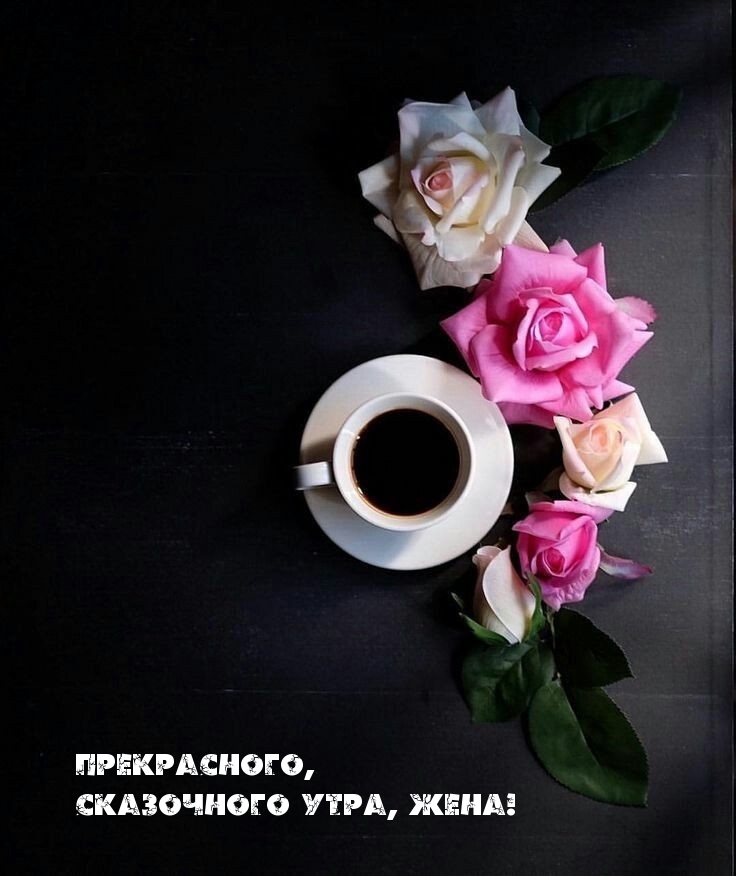 Прекрасного, сказочного утра, жена!