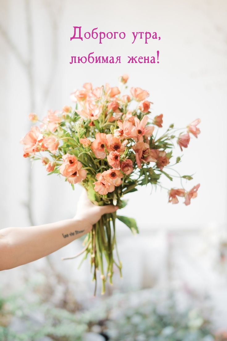 Доброго утра, любимая жена!