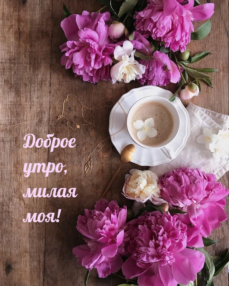 Доброе утро, милая моя!
