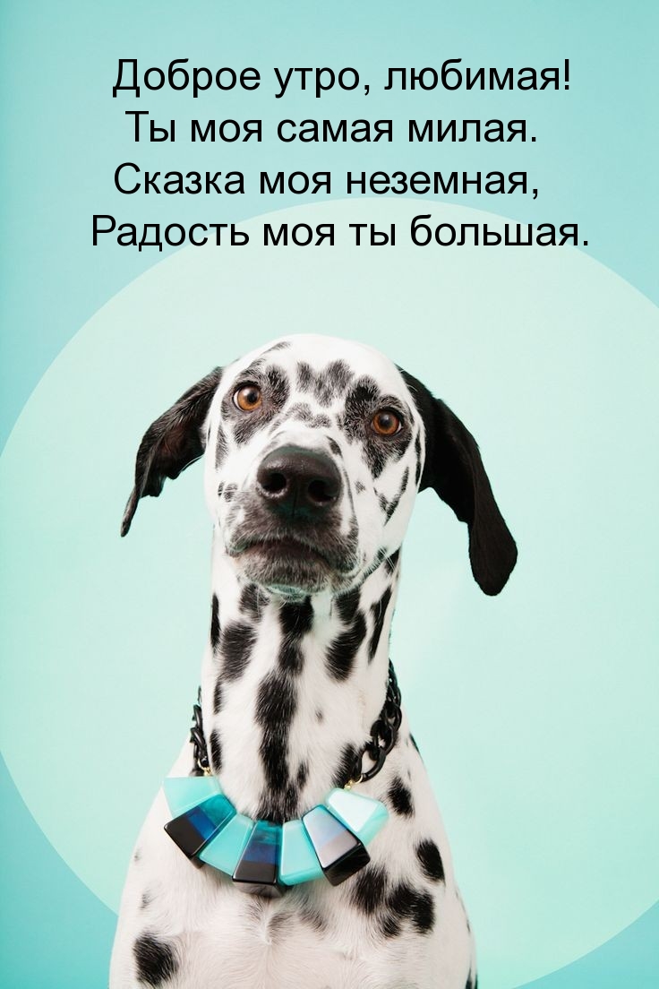 Доброе утро, любимая! Ты моя самая милая.
