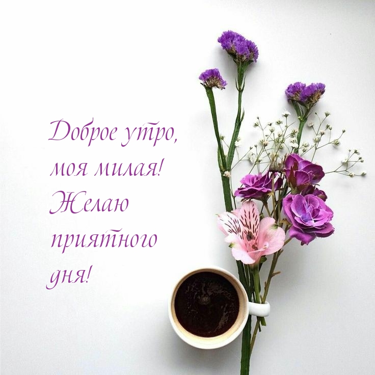 Доброе утро, моя милая! Желаю приятного дня!