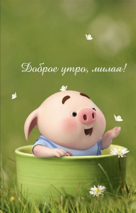 Доброе утро, милая!