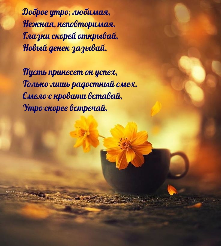 Доброе утро, любимая, нежная, неповторимая.