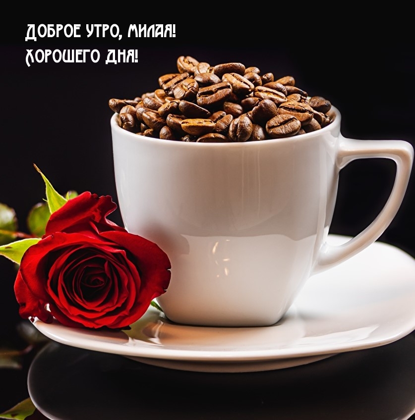 Доброе утро, милая! Хорошего дня!