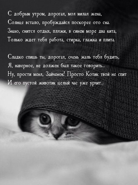 С добрым утром, дорогая, моя милая жена