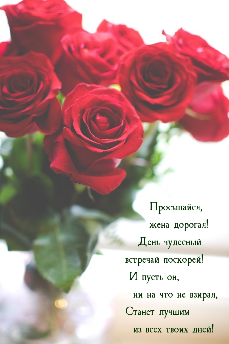 Просыпайся, жена дорогая!