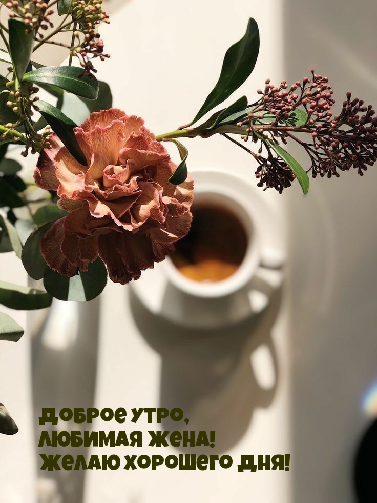 Доброе утро, любимая жена! Желаю хорошего дня!