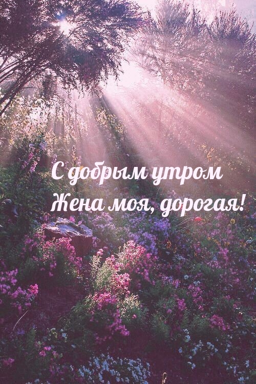 С добрым утром Жена моя, дорогая!
