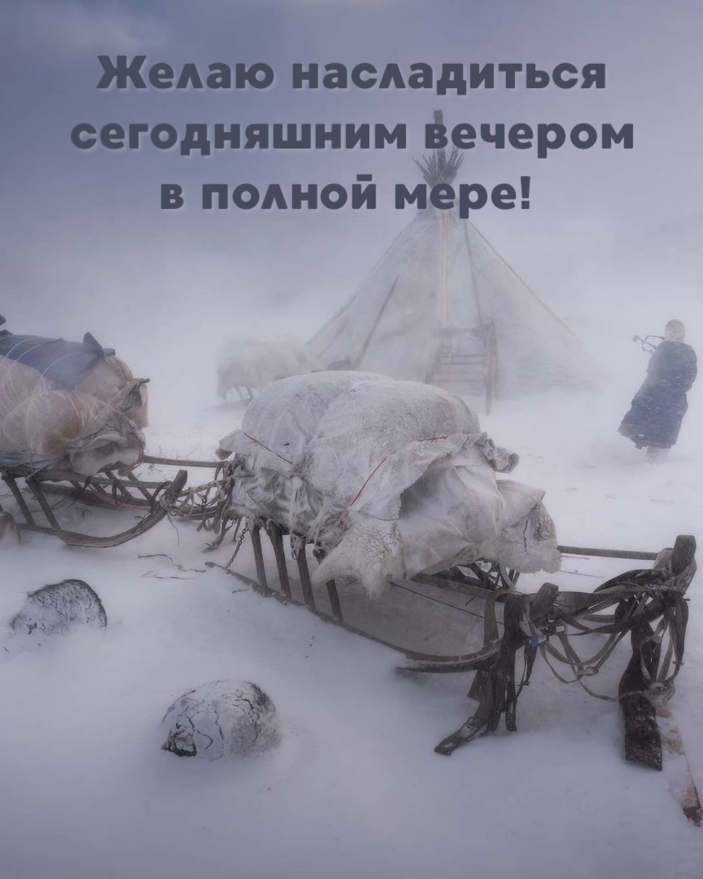 Желаю насладиться сегодняшним вечером в полной мере!