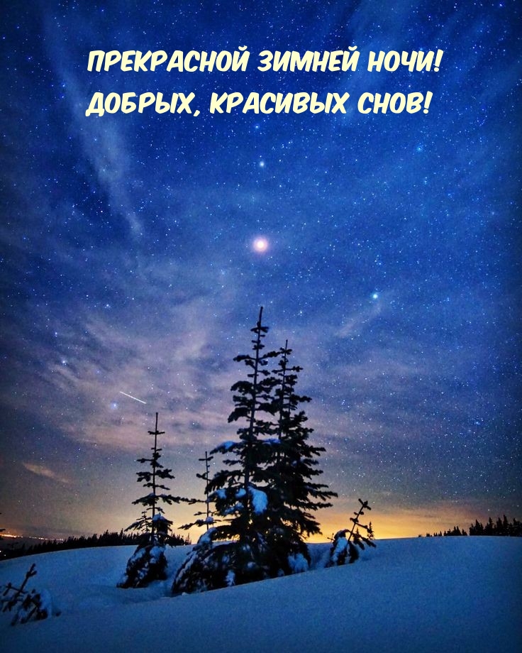 Прекрасной зимней ночи! Добрых, красивых снов!