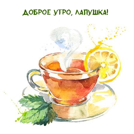 Доброе утро, лапушка!