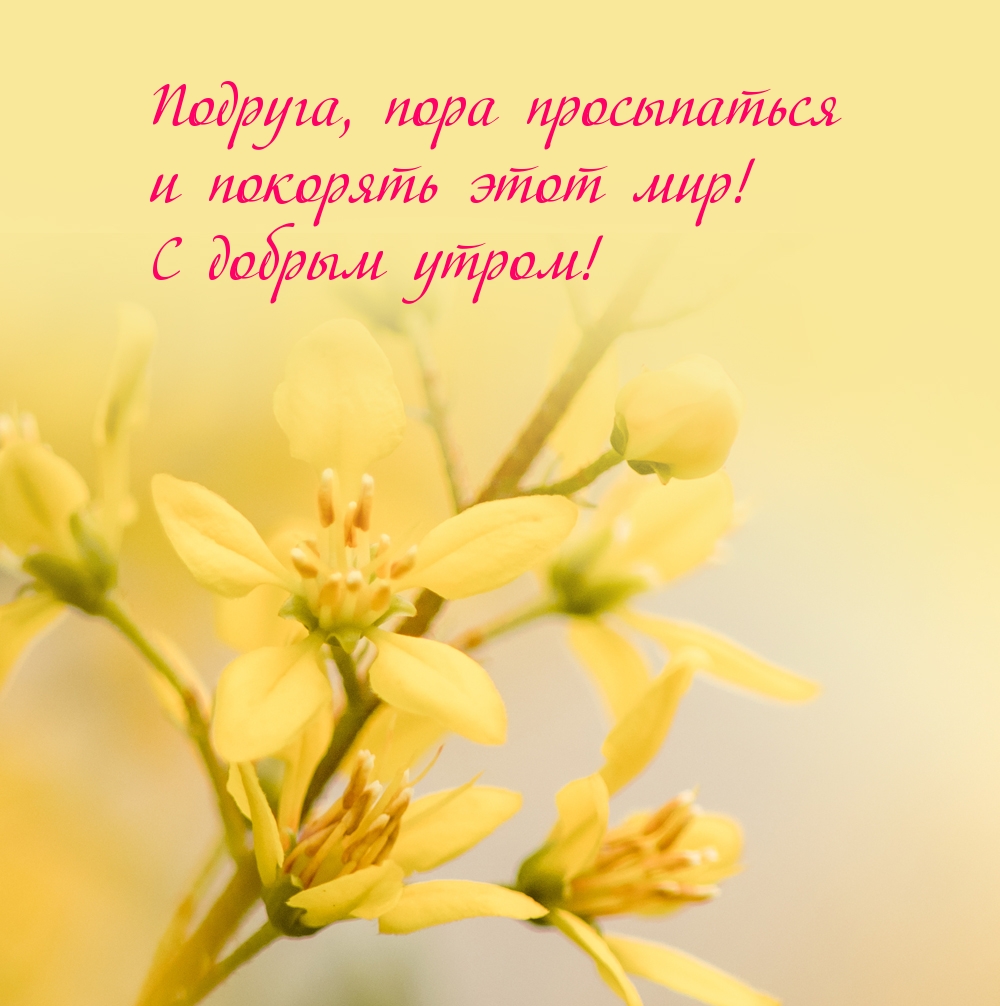 Подруга, пора просыпаться и покорять этот мир!