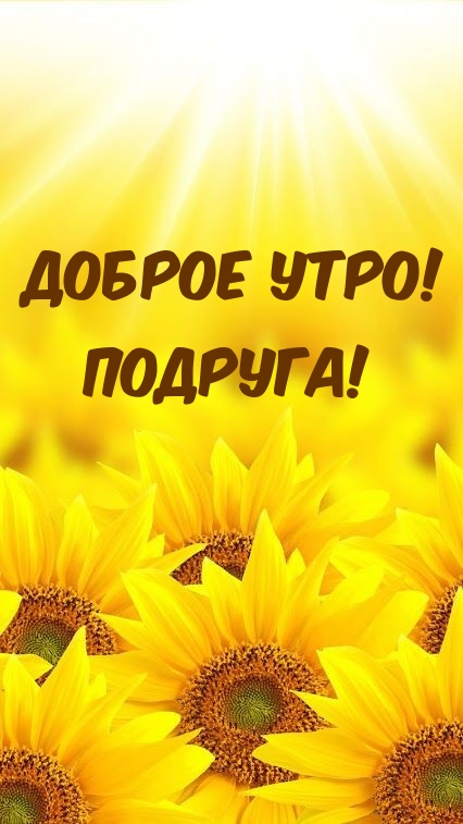 Доброе утро! ПОДРУГА!