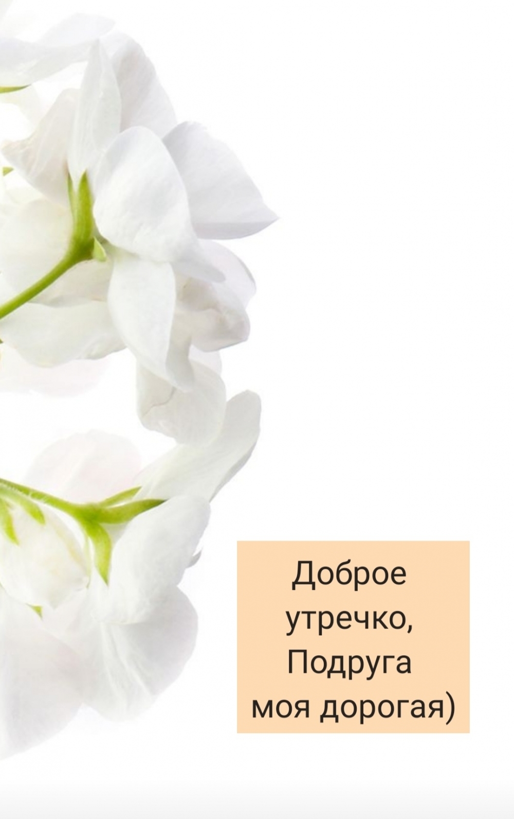 Доброе утречко, Подруга моя дорогая)