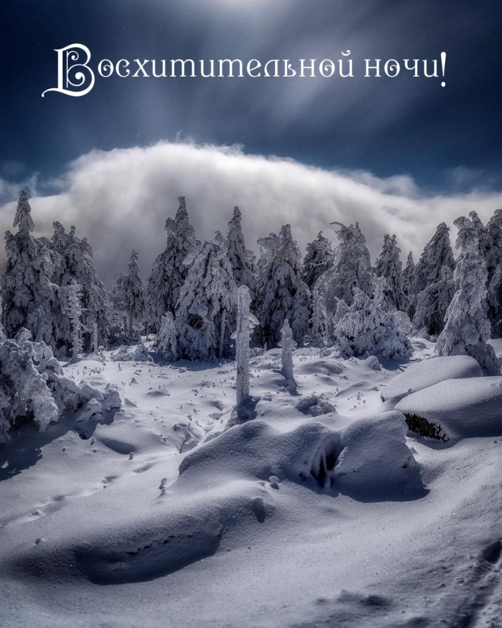 Восхитительной ночи!