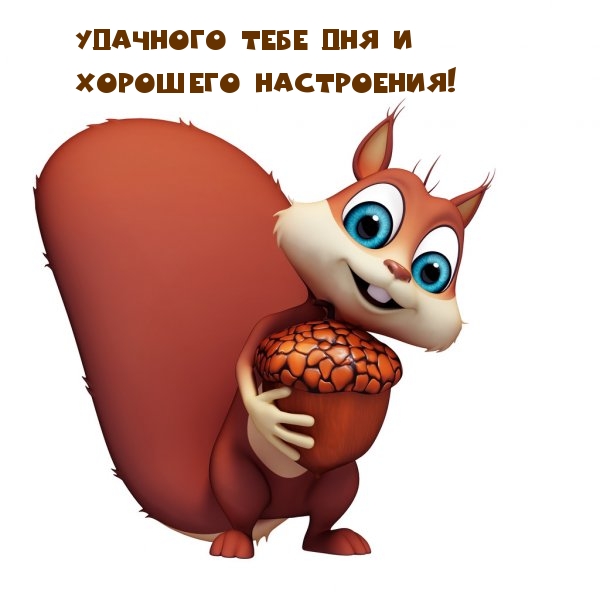 Удачного тебе дня и хорошего настроения!