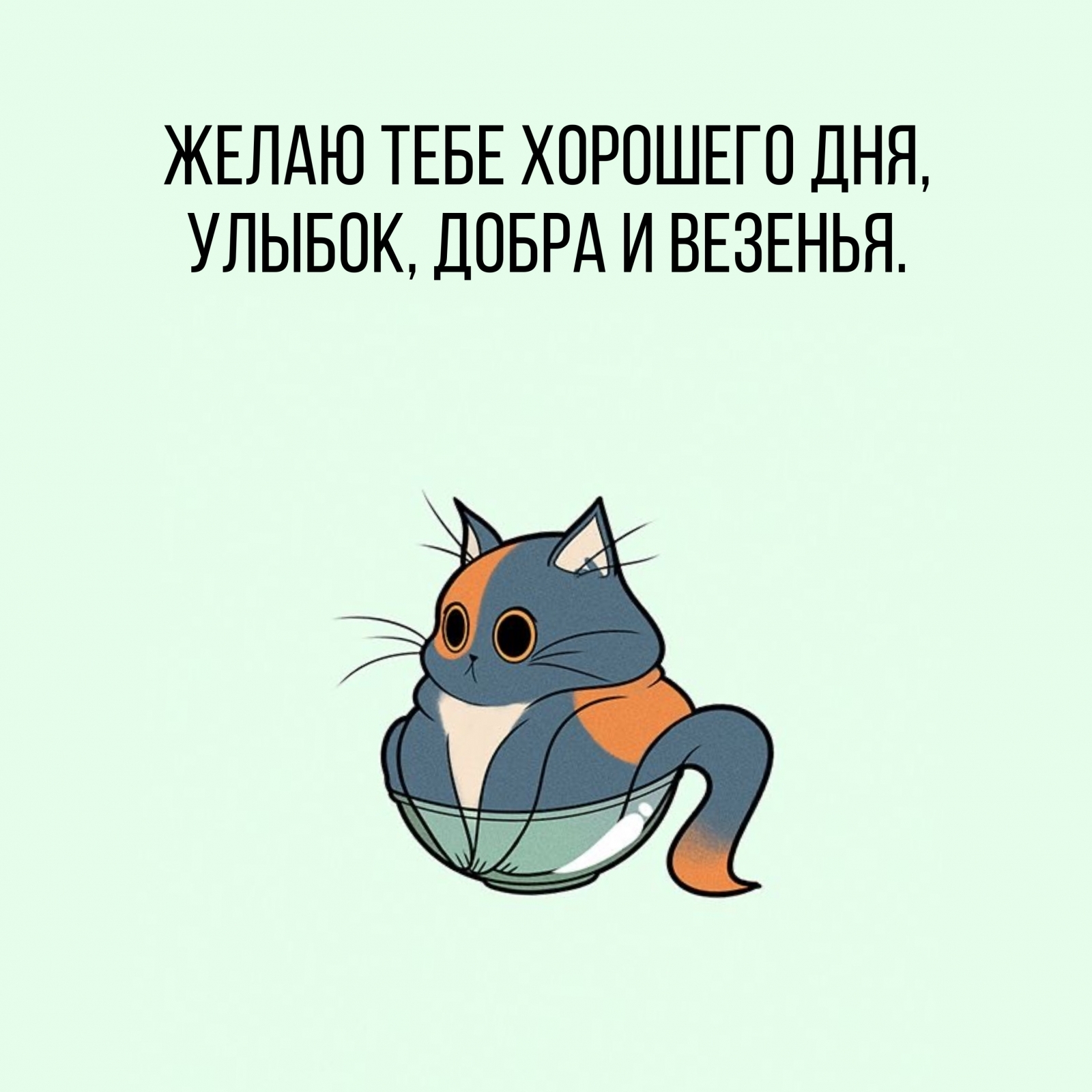 Желаю тебе хорошего дня, улыбок, добра и везенья.