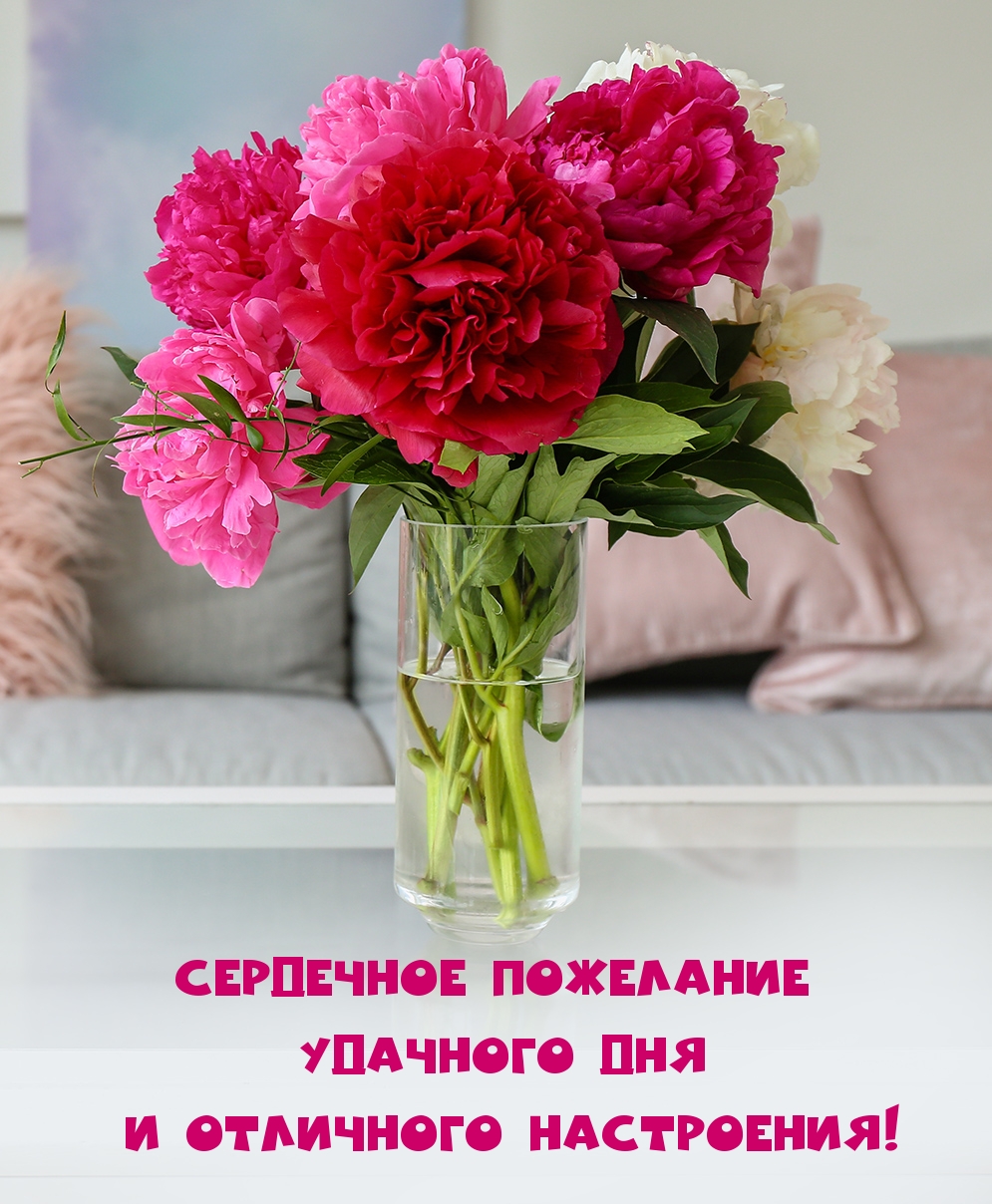 Сердечное пожелание удачного дня и отличного настроения!