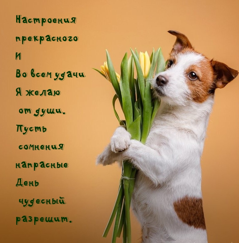 Настроения прекрасного и во всем удачи я желаю от души.